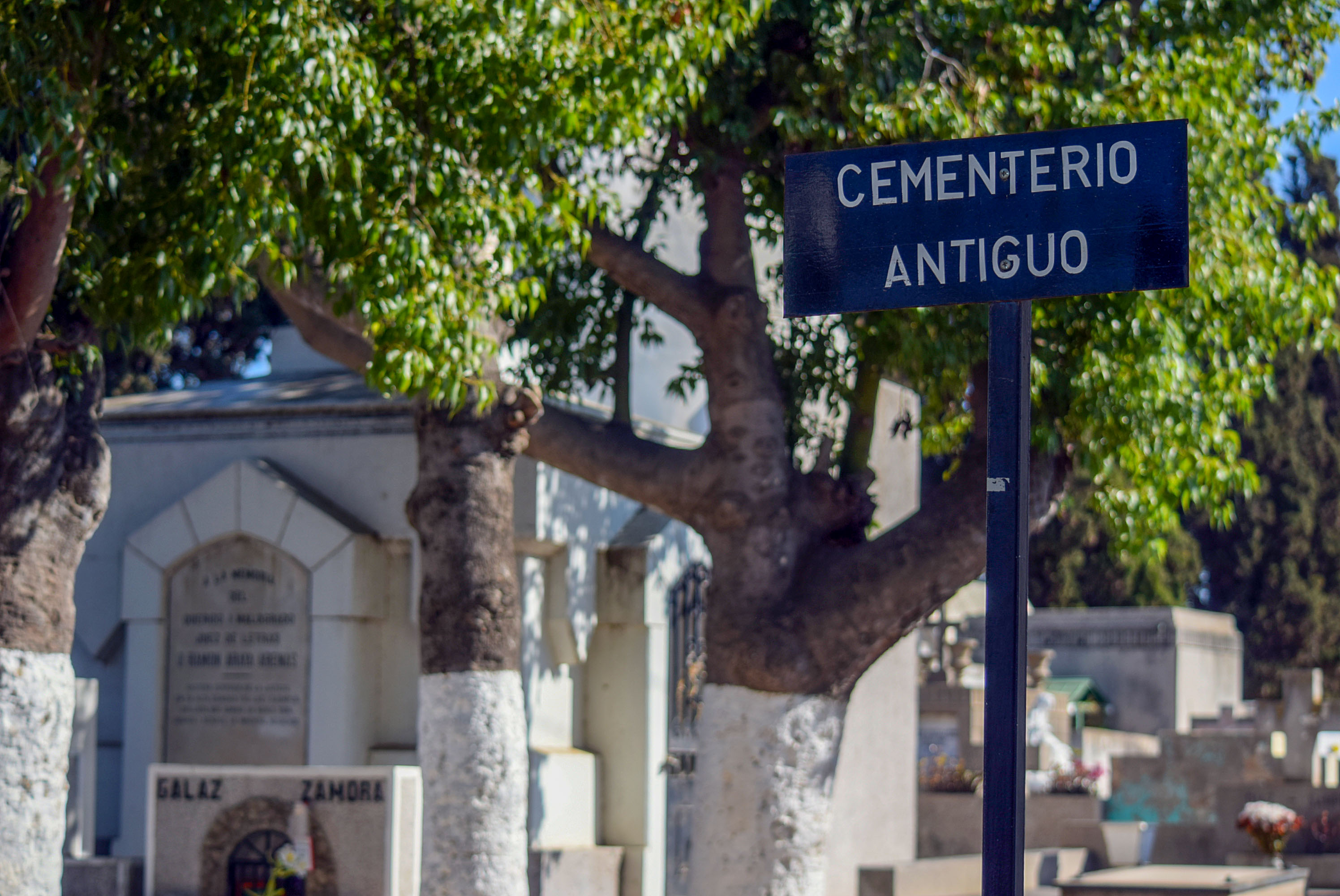 Alcalde (s) Oscar Calderón determinó el cierre del Cementerio Municipal durante este fin de semana