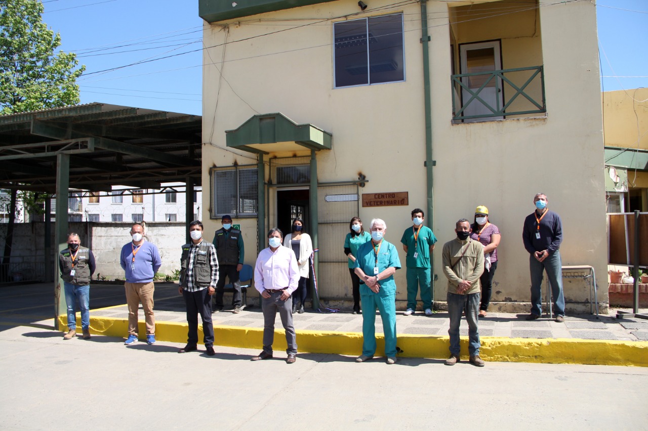 Municipalidad de Quillota mejoró su Centro Veterinario  recuperando edificio, reutilizando muebles y equipos