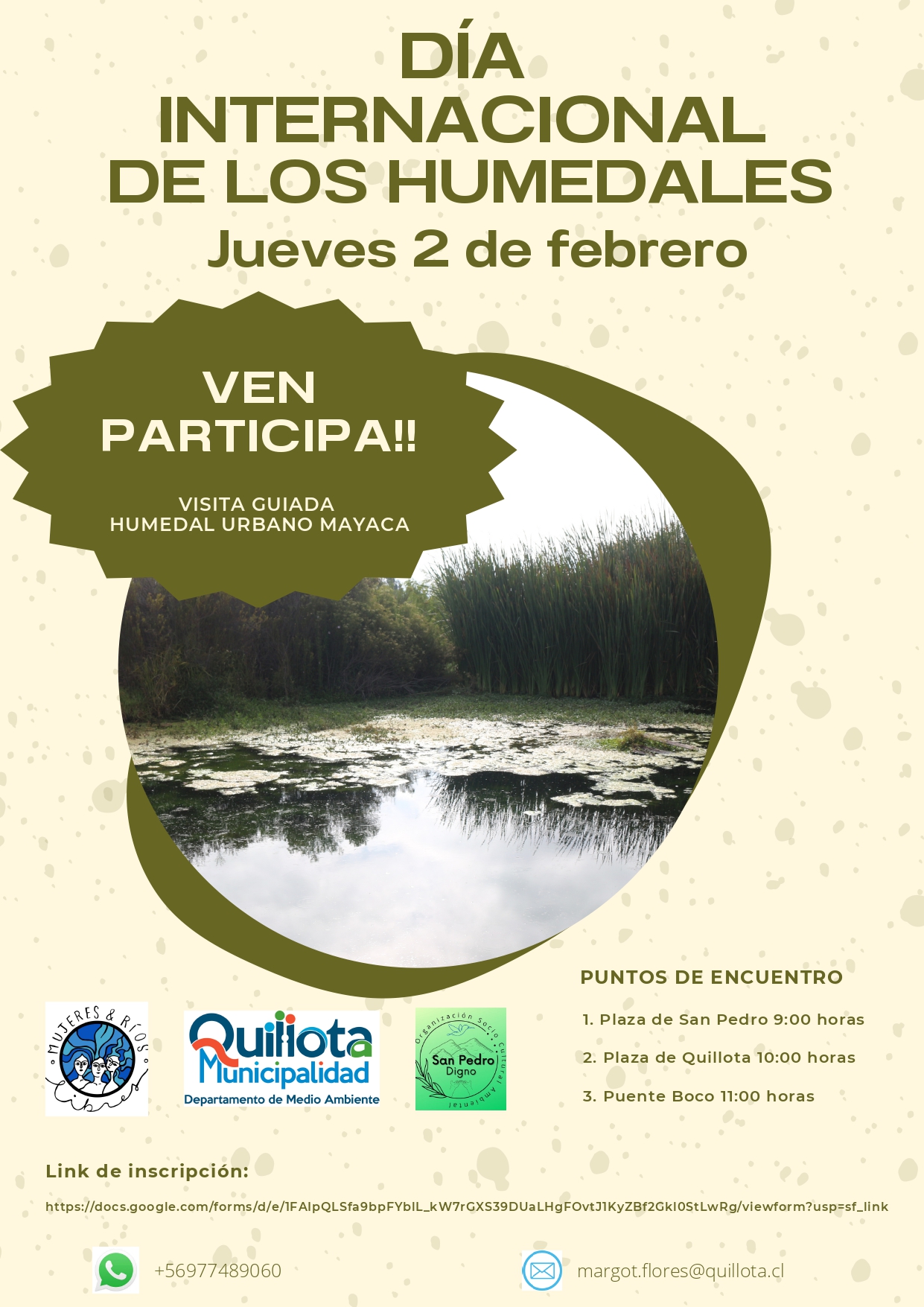 Quillota conmemorará el Día Mundial de los  Humedales con visita guiada a zona protegida