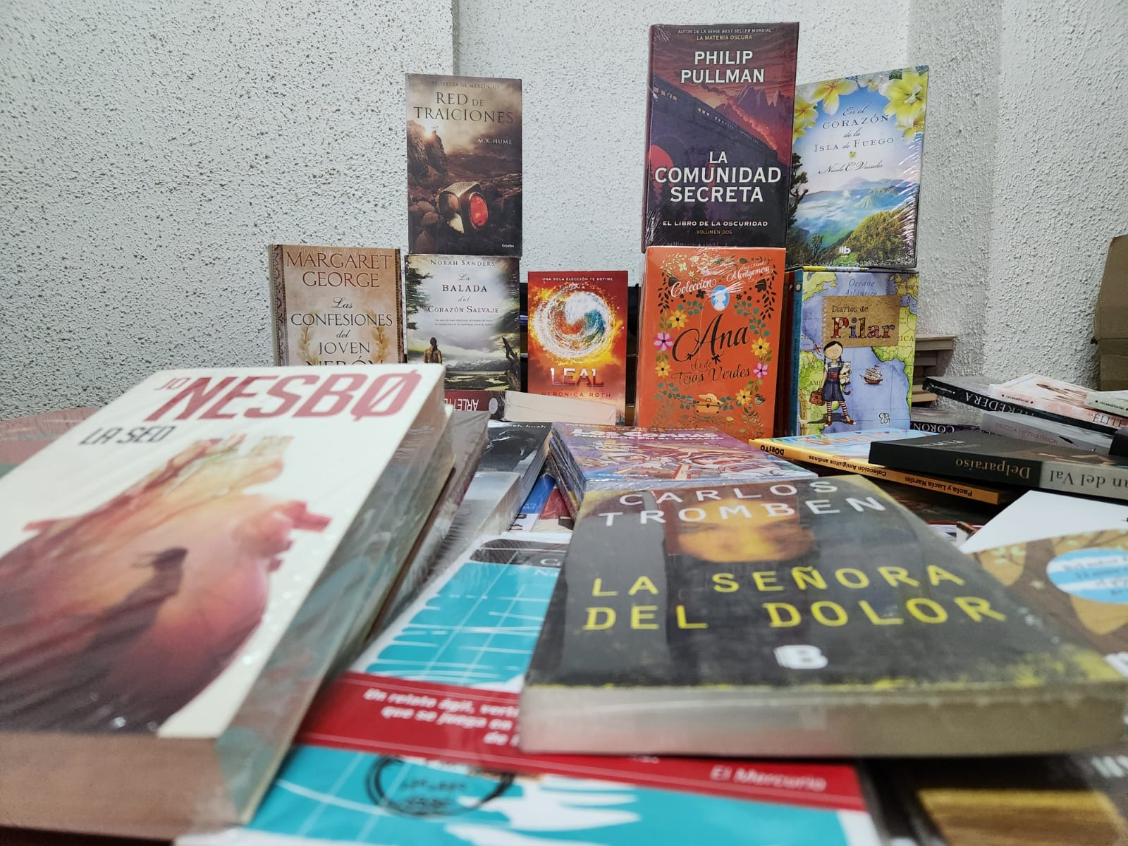 294 nuevos libros se suman a la Biblioteca Municipal