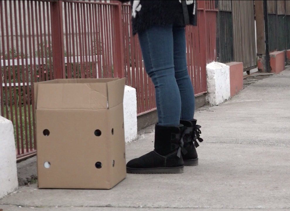 Nuevo Equipo Social Covid-19 facilitará la cuarentena a personas de Quillota que no cuenten con red de apoyo