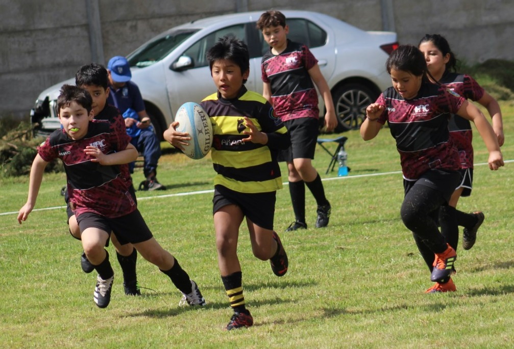En Estadio San Isidro se disputó nuevo Festival de Menores de Rugby organizado por Club Los Toros de Quillota.