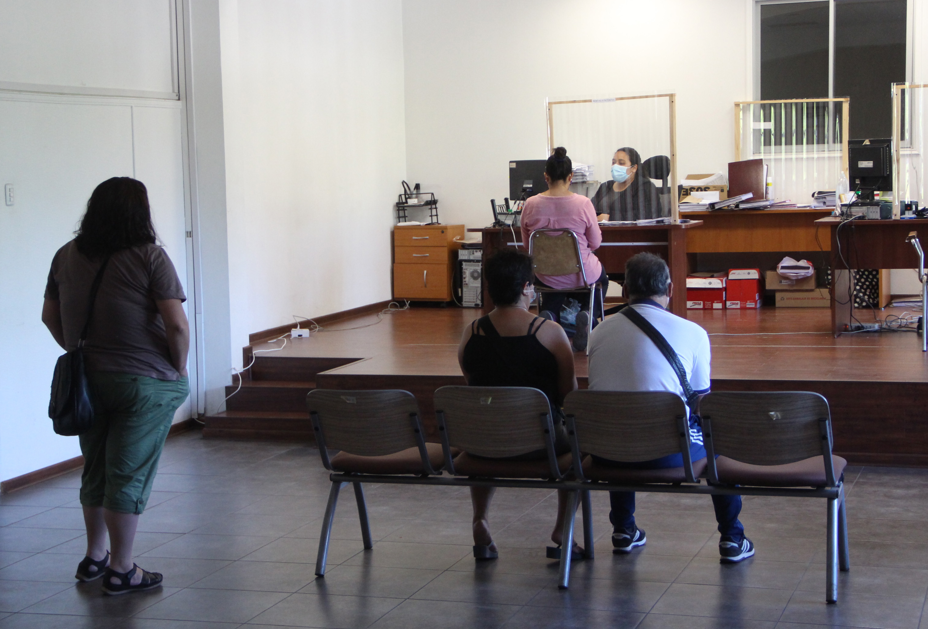 ¡Atención! ya comenzó proceso de renovación de patentes de alcoholes