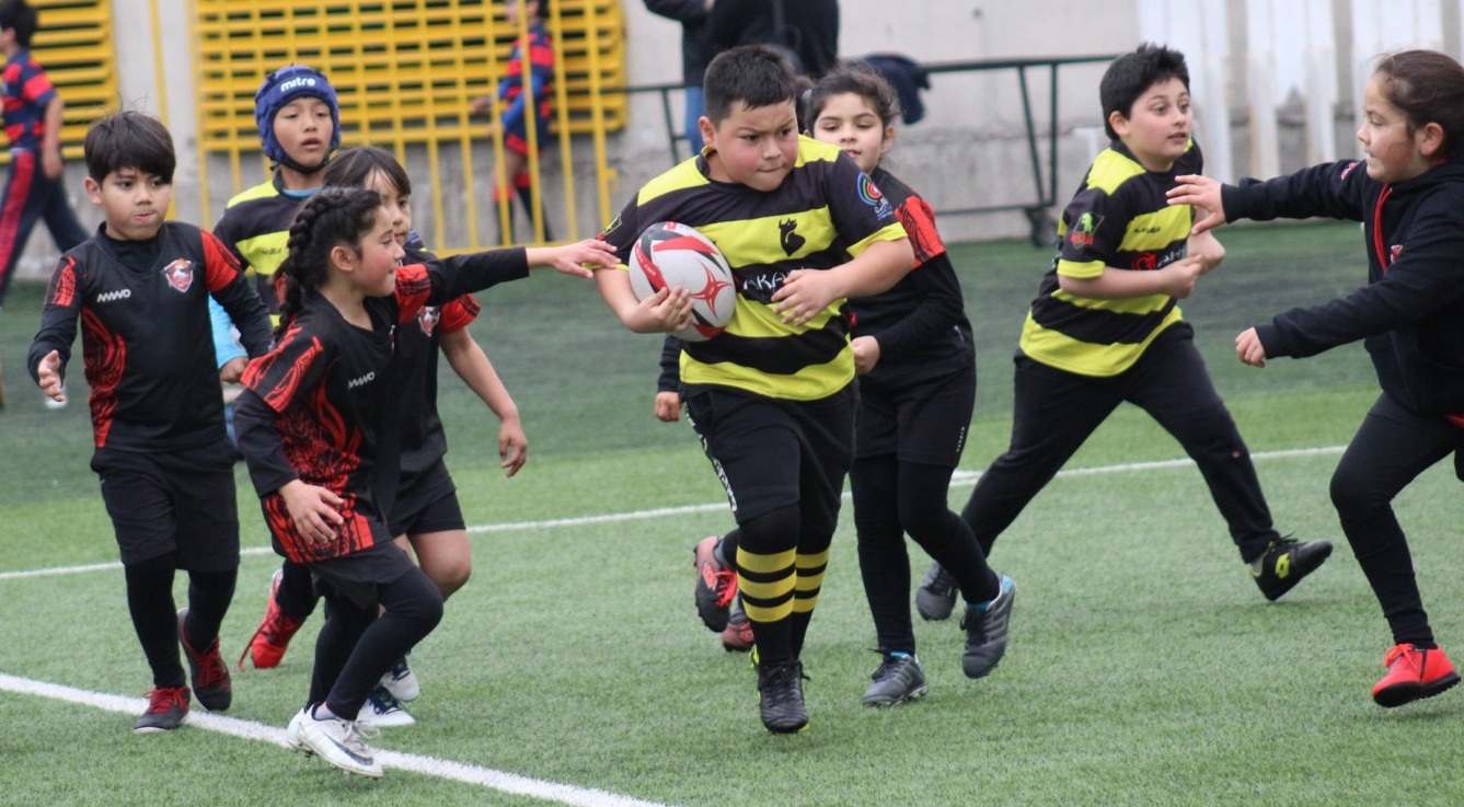 Jóvenes de la región mostraron todo su talento en Festival de Menores de Rugby del Club de Rugby Quillota.