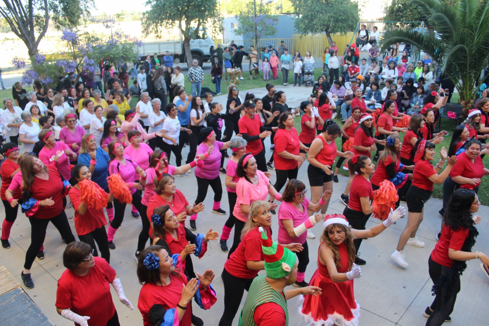 Talleres de la Dirección de Deportes comienzan a cerrar temporada 2024 con múltiples jornadas recreativas.