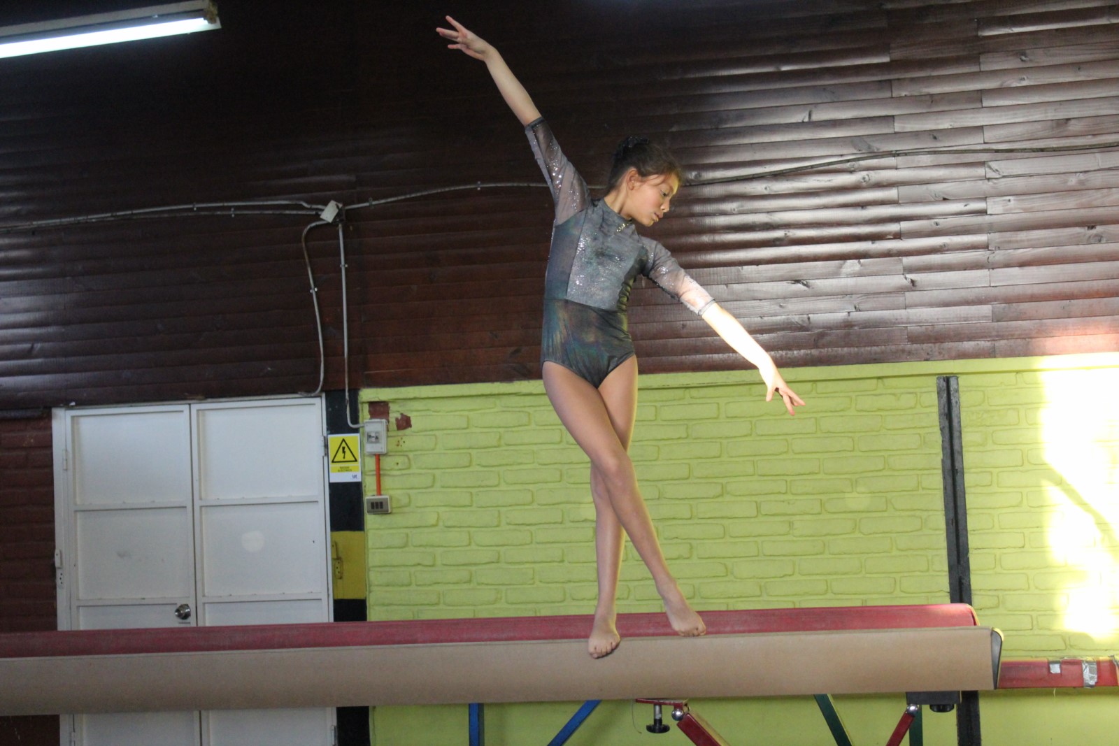 Gimnastas quillotanas participarán una vez más en la prestigiosa competencia Copa Internacional La Serena.