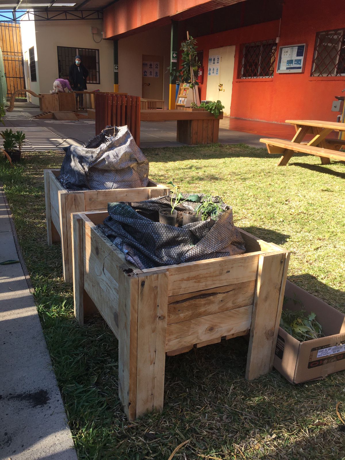 Municipalidad de Quillota promueve los huertos comunitarios como una forma de alimentación saludable