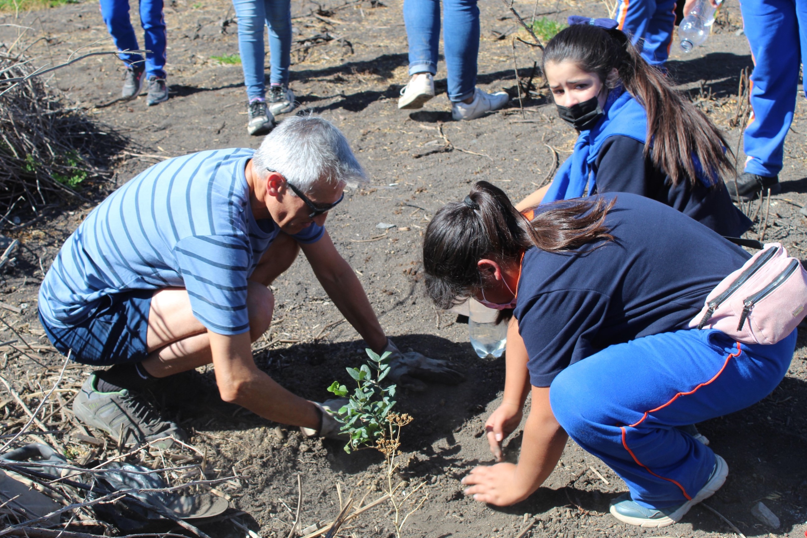 Escolares y párvulos sampedrinos plantaron y regaron  150 árboles nativos para enfrentar el cambio climático