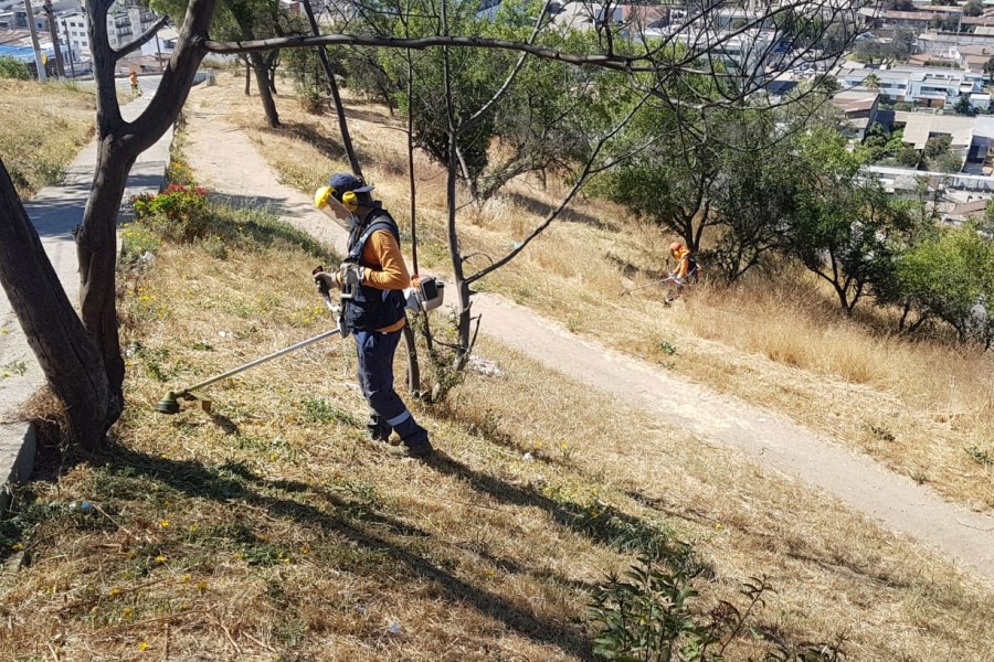 Protección Civil de Quillota desarrolla plan para  prevenir los incendios forestales durante el verano