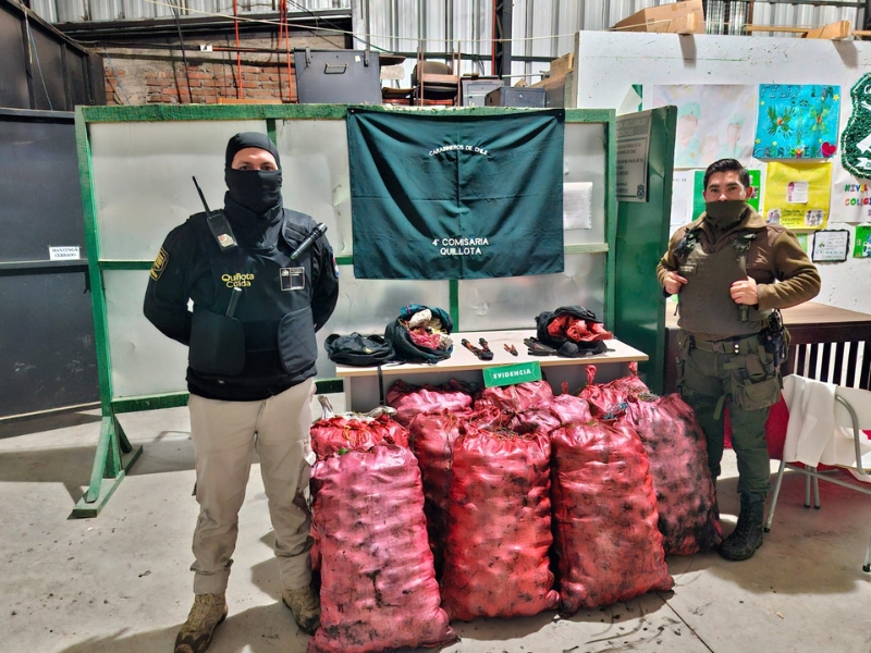 Carabineros y Quillota Te Cuida detuvieron a ladrones que se trasladaban en un taxi con el que robaron 450 kilos de paltas
