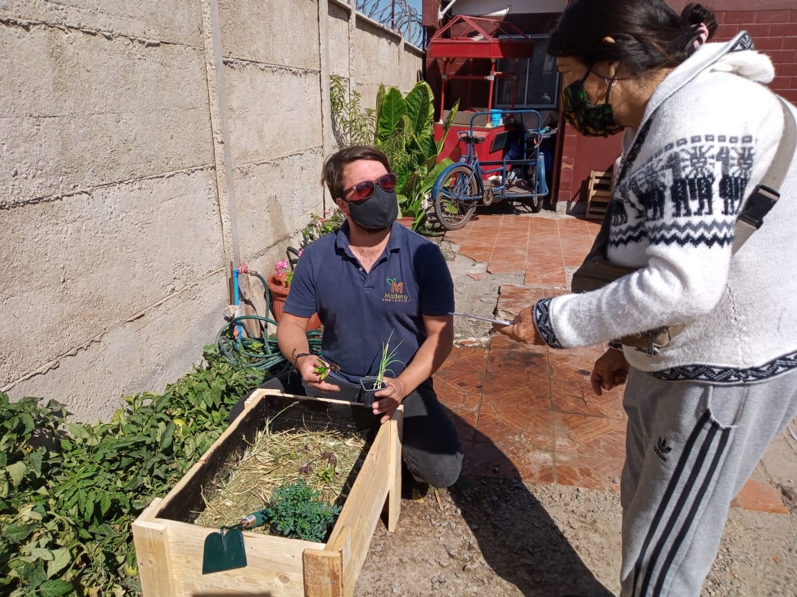 Municipalidad de Quillota incentiva los huertos urbanos como una forma de alimentación saludable en pandemia