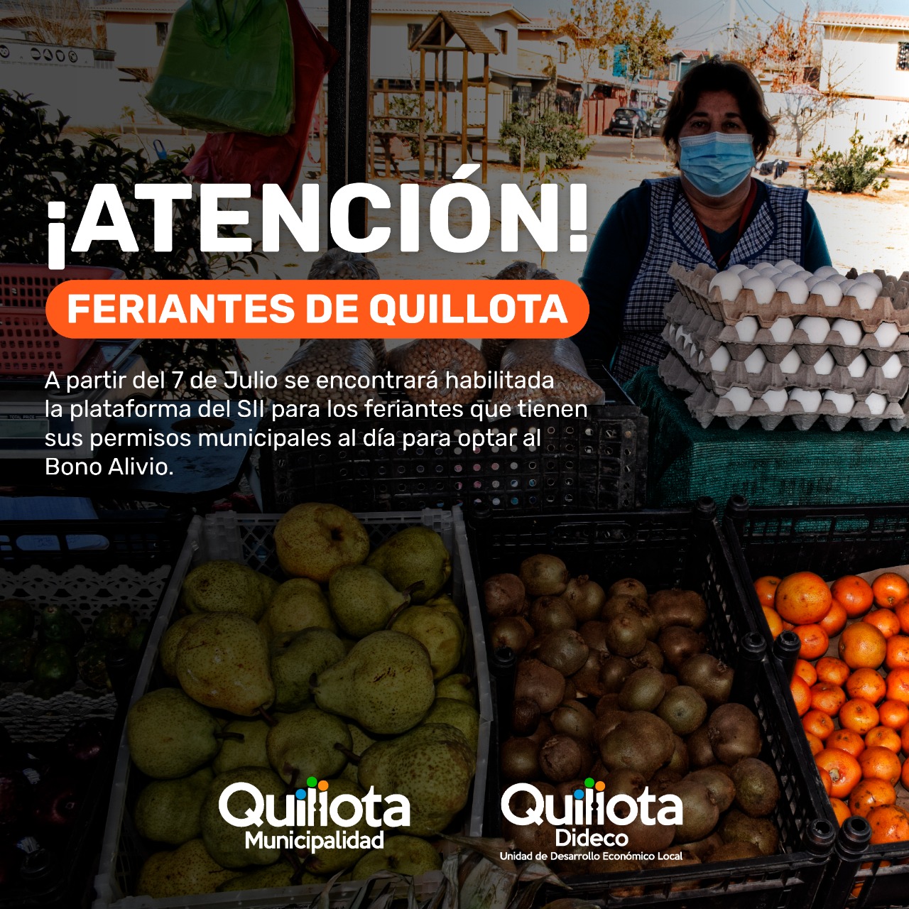 Feriantes podrán iniciar postulación al Bono Alivio a partir del miércoles 7 de julio