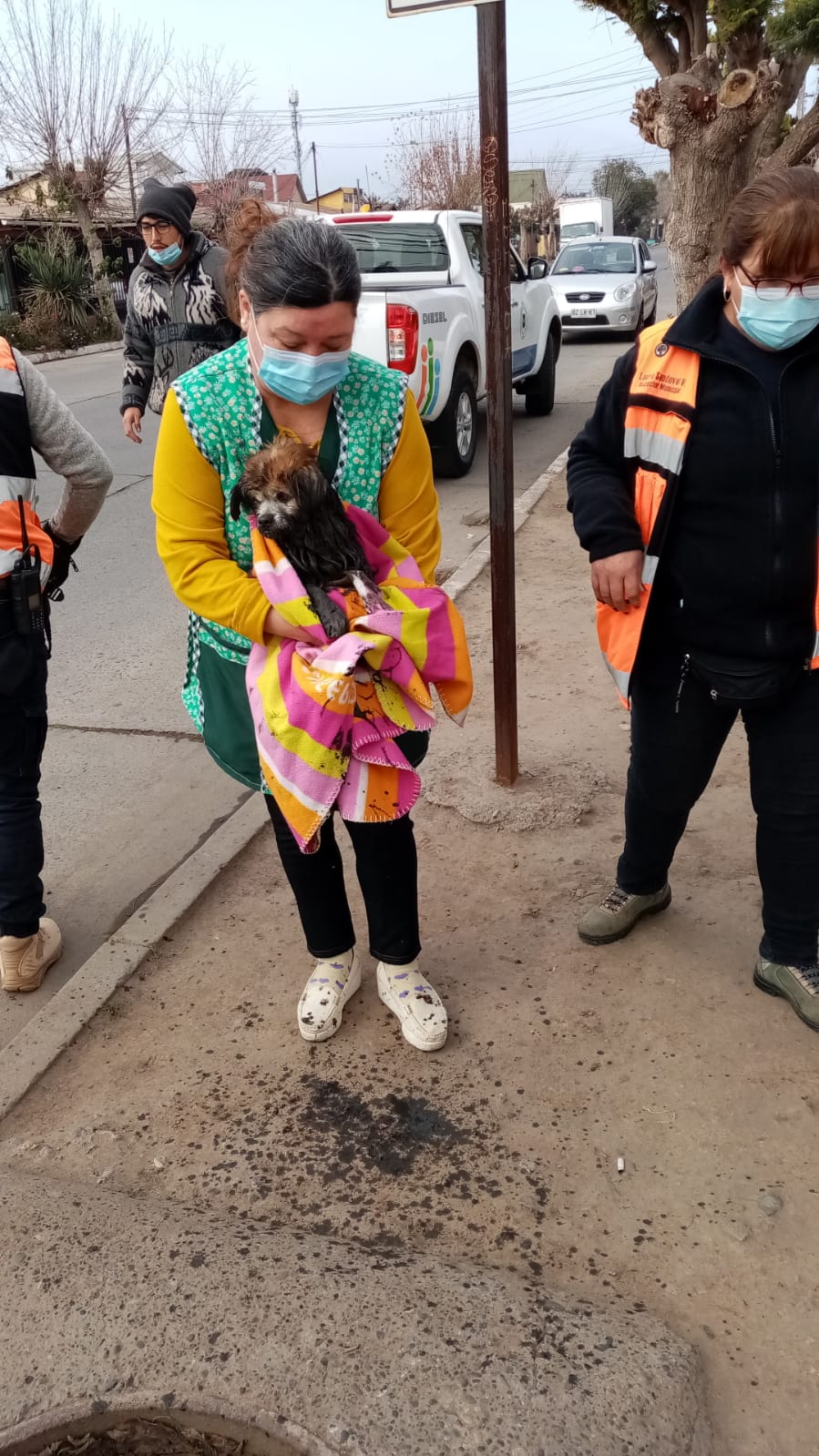 Funcionarios municipales rescataron a mascota que se encontraba en ducto de evacuación de aguas lluvias