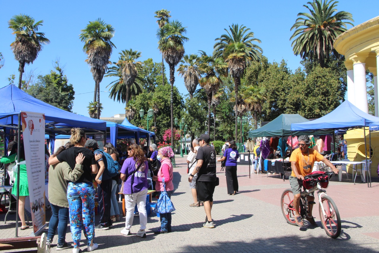Instituciones públicas y privadas participaron en la 1ª Feria de Salud Mental organizada por la Municipalidad de Quillota