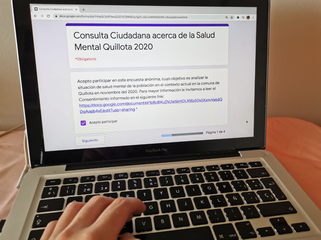 Investigación busca conocer el estado de salud mental de quillotanos en pandemia