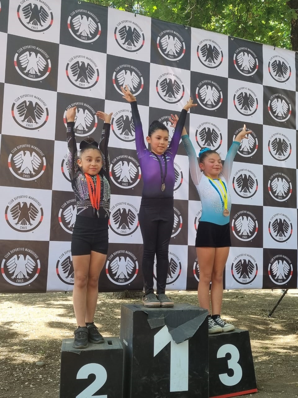 Jóvenes del taller municipal gimnasia artística de Quillota cumplieron destacada actuación en Copa Alemania.