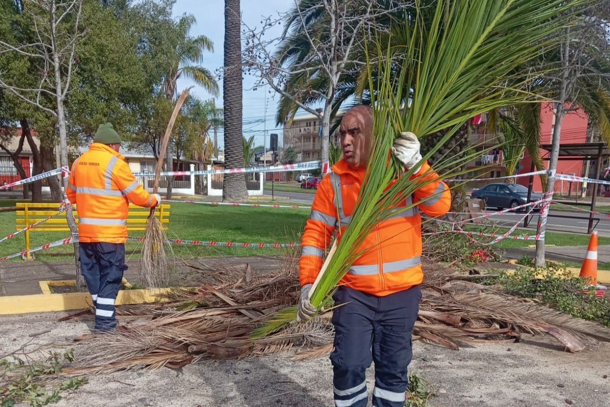 Equipos municipales se desplegaron en toda la comuna tras la ca&iacute;da de &aacute;rboles y cortes de energ&iacute;a