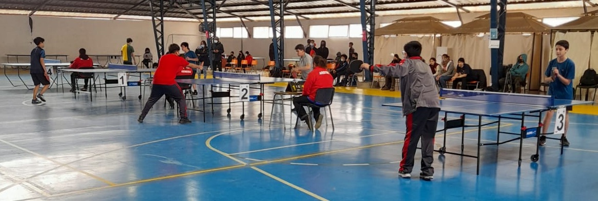 Representantes quillotanos continúan cosechando éxitos en provinciales de Juegos Deportivos Escolares.
