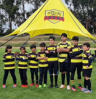 Este domingo se realizará el Festival de Menores de Rugby a cargo del Club Los Toros de Quillota.